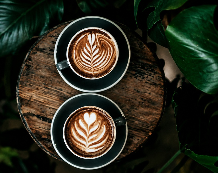 Two cups of latte on a wooden table surrounded by greenery